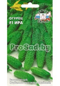 Огурец F1 Ира