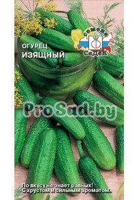 Огурец Изящный