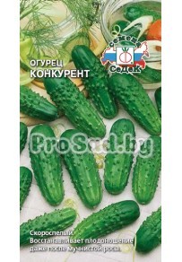 Огурец Конкурент