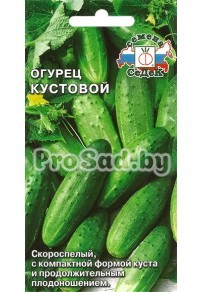 Огурец Кустовой