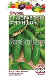 Огурец F1 Моравский корнишон