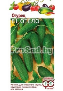 Огурец F1 Отело