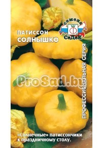 Патиссон Солнышко