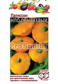 Патиссон НЛО Оранжевый