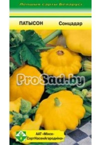 Патиссон Солнцедар