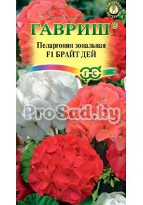 Пеларгония зональная F1 Брайт дей