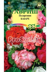 Пеларгония зональная F2 Кабаре, смесь