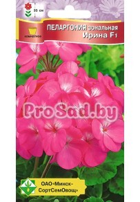 Пеларгония зональная F1 Ирина