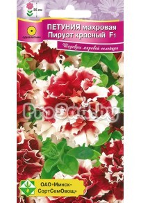 Петуния махровая (дабл) F1 Пируэт красный