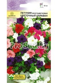 Петуния многоцветковая F1 Цветочный караван, смесь