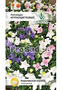 Платикодон Крупноцветковый