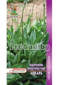 Подорожник ланцетолистный Лекарь