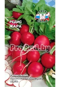 Редис Жара