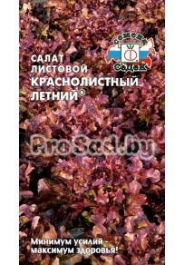 Салат листовой Краснолистный летний