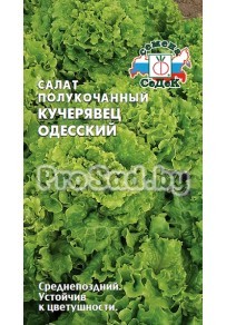 Салат полукочанный Кучерявец одесский