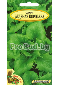 Салат листовой Ледяная королева (Польша)