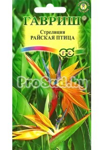 Стрелиция Райская птица