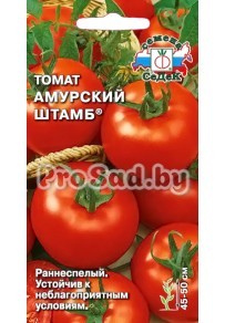 Томат Амурский штамб
