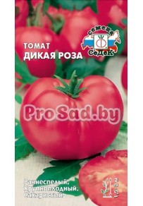 Томат Дикая роза