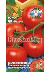 Томат Ляна