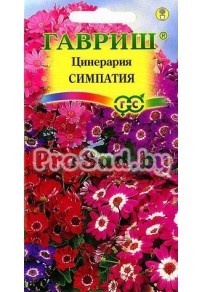 Цинерария гибридная Симпатия, смесь