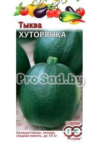 Тыква Хуторянка