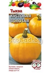 Тыква Кустовая золотая