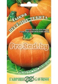 Тыква Весёлые ребята