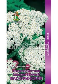 Тысячелистник обыкновенный Васюринский