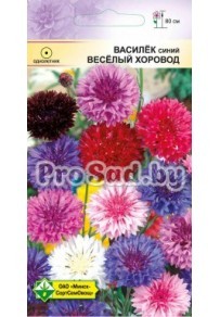 Василёк синий Весёлый хоровод