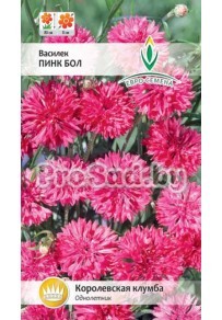 Василёк Пинк Бол