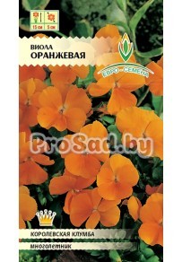 Виола рогатая крупноцветковая Оранжевая