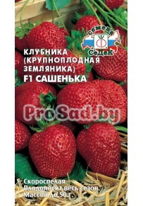 Клубника (Крупноплодная земляника) F1 Сашенька