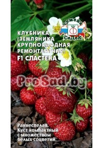 Клубника (Земляника крупноплодная) F1 Сластёна