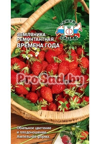 Земляника ремонтантная Времена года