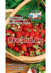 Земляника ремонтантная Времена года