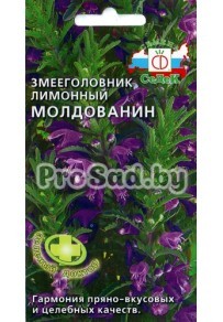 Змееголовник лимонный Молдованин