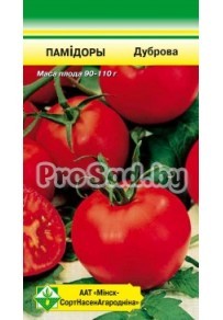 ТОМАТ Дубрава