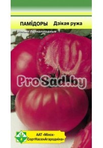 ТОМАТ Дикая роза
