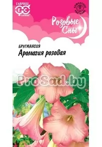 Бругмансия Аромагия розовая