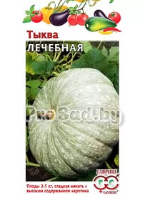 Тыква Лечебная