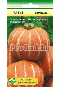 Тыква Улыбка