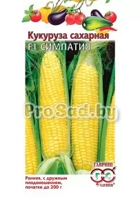 Кукуруза сахарная Симпатия
