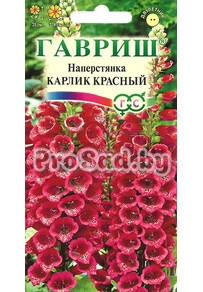 Наперстянка Карлик красный