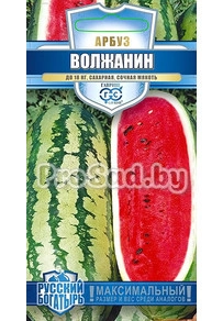 Арбуз Волжанин