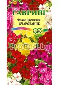Флокс друммонда Очарование, смесь