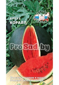 Арбуз Коралл
