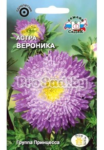 Астра Вероника
