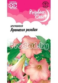 Бругмансия Аромагия розовая