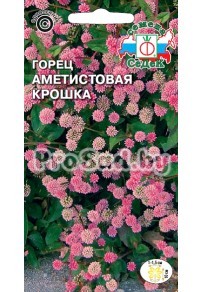 Горец Аметистовая крошка